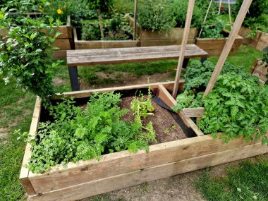 Manastır bahçesindeki şatoda ahşap çerçeveli ot yatakları. Otlarla dolu dikdörtgen çiçek tarhı ve parlak renkli park yolları. Kesilmiş boxwood çitlerini korudum. Eğitim, okul, bahçıvanlık.