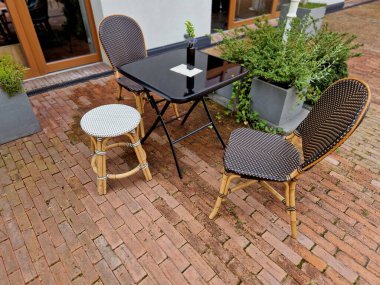 Mor İncir ikinci ya da üçüncü yılında küçük incir ekinleri ekme yeteneğine sahiptir. Ayrıca, bizim daha büyük bedenlerimizle, ilk büyüme mevsiminde meyve alabilirsin..