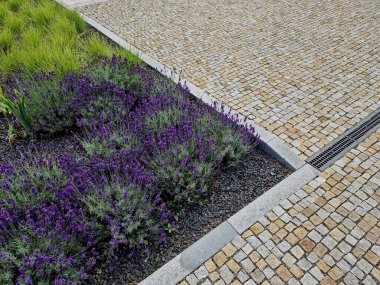 Yamaç parkında merdivenleri olan teraslar. Taş, hafif taşlı duvarlar içeriyor. Uzun ömürlü mavi lavanta ve pembe güller duvarın kenarında yetişir. Çimenler ve çakıl yolları, yol, patika, kale