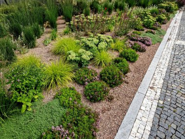 Kırsal kare, sarı uzun ömürlü olanlar, dikey kalaslarla çitli bir çit boyunca bir çiçek tarhında çiçek açıyor. Halka su içirmek için çeşme ve oturaklar