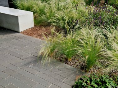 Sonbahar çiçekleri, uzun ömürlü otlar ve siyah taş kaldırımlı bir meydanda, granit kaldırımlar, sonbahar mor beyaz ve sarı astlar ve şehir parkında adaçayı ile süslenmiş otlar.