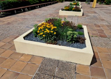 Beton merdiven yeni ve pürüzsüz. Öğrenciler ve parktaki insanlar için merdivenlerde oturmak. Çimenlik bankları ve yataklar ve yapısal elementlerle birlikte uzun ömürlüdür.