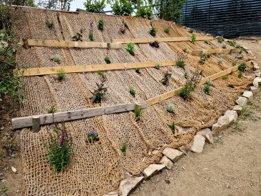 Erozyona karşı geniş bir yamaç sağlamak için çimleri tekstil ile kaplamak. Dik yamaçlar için hindistan cevizi ağını dengeleyen kahverengi jüt kumaş kullanıyor. Şiddetli yağmurda toprak ağ sızdırmaz.