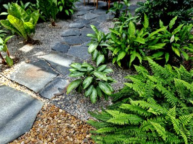 Kapalı alanda düz taş yolu olan tropik bir bitki yatağı. Ormanı, eğrelti otunu, lüks oteli, lobiyi, teras bahçesini taklit eden bir serada çeşitli çiçek yaprakları.