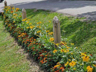 Her yıl sarı ve mavi çiçeklerle çevrili bir çiçek tarhı. Düşük çitle çevrili metal gri süslemeler. Yazın adaçayı ile peyzaj