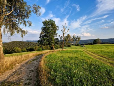 İthal biniciler için ithal Atrium BMX pisti. Dönüşlü ve zıplamalı dalgalı arazisi var. Tahta köprüler ve rampalar oldukça tehlikelidir. sadece deneyimli bisikletçiler için girdi