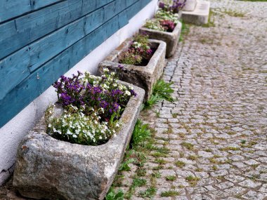 a trough for feeding animals in a stable. it is planted with colorful flowers and laid out alongside the wooden paneled cottage. clipart