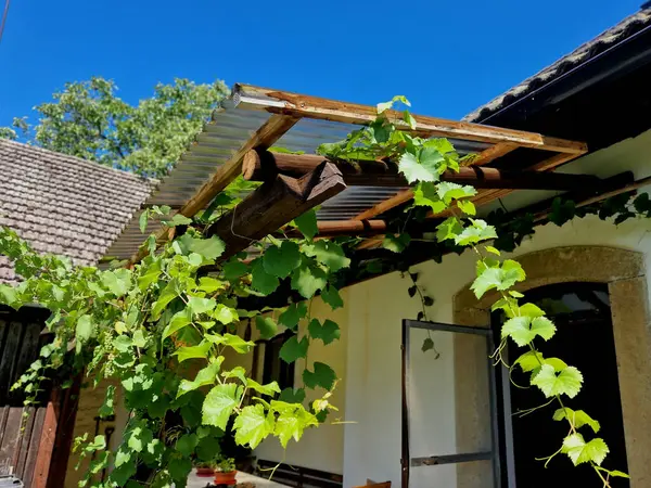 stock image terrace with wooden pergola and plexiglass roof. vines are straining, crawling under the beams. garden or park. sitting with dry wall wine region. restaurant countryside france, truss, home, table 