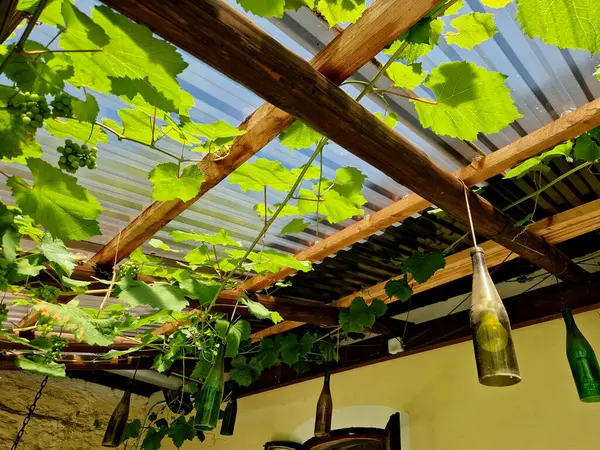 stock image terrace with wooden pergola and plexiglass roof. vines are straining, crawling under the beams. garden or park. sitting with dry wall wine region. restaurant countryside france, truss, home, table 