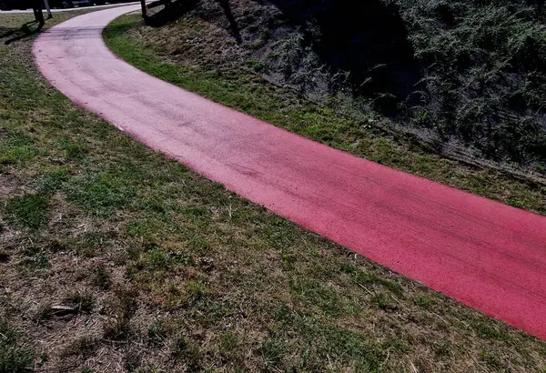 Kaykay, paten parkı beton yüzeyi mavi ve sarıya boyanmış. Engelli dalgaları eğitiyor. Serbest stil bisiklet, çocukların koruyucu giysileri.