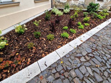 Asfaltlı bahçe. Ortancalar ve diğer çalılar İngiliz usulü saman tarlaları ekilmiş..