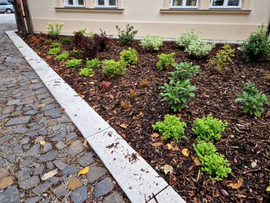 Asfaltlı bahçe. Ortancalar ve diğer çalılar İngiliz usulü saman tarlaları ekilmiş..