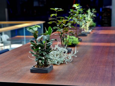 the flower pots are embedded in the table top. among them are herbs for direct plucking, or for the kitchen to cook meals from fresh ingredients clipart