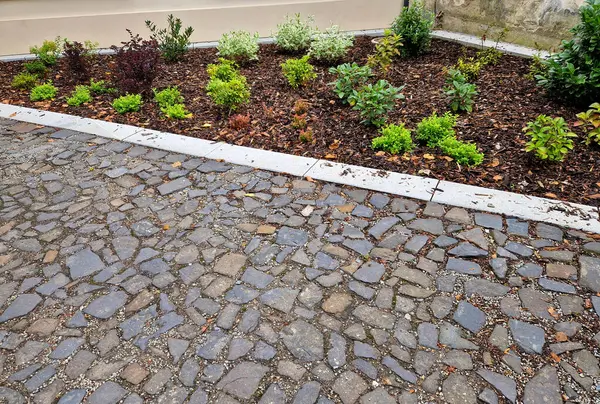 stock image backyard garden with paving surface. hydrangeas and other shrubs in a free-scattering English-style mulched bed planted.