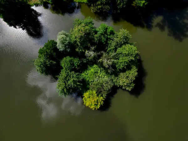 stock image view of the island in the pond. texture with gray-blue spruces. taiga and deciduous forest