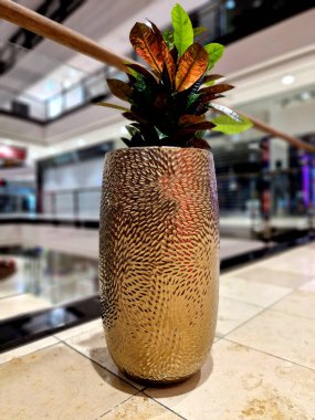 Çiçek koridorundaki altın saksılar parlak ve incedir. Çamurlu yüzey. Ofis ortamı için uygun. Egzotik bir ruh hali uyandırıyorlar..