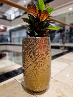 Çiçek koridorundaki altın saksılar parlak ve incedir. Çamurlu yüzey. Ofis ortamı için uygun. Egzotik bir ruh hali uyandırıyorlar..