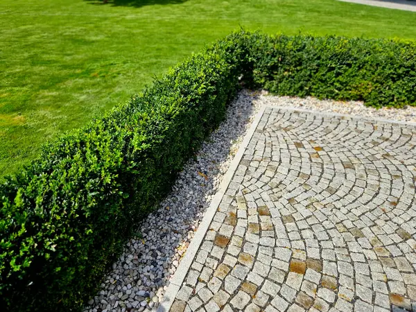 stock image cut squares of flowerbed edging in a historic garden made of boxwood hedges. courtyard of castle along cobblestone path row of squares frozen ice, snowing  evergreen topiary, ivy, creeper, above, top