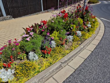 Muz ağacı ve diğer egzotik bitkilerle dolu ılıman iklimli bir şehir parkında tropikal çiçek tarhı kış için bir palmiye serasında ya da portakalda saklanmalıdır.