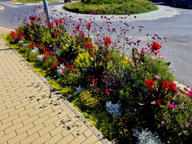 Muz ağacı ve diğer egzotik bitkilerle dolu ılıman iklimli bir şehir parkında tropikal çiçek tarhı kış için bir palmiye serasında ya da portakalda saklanmalıdır.