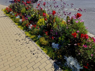 Muz ağacı ve diğer egzotik bitkilerle dolu ılıman iklimli bir şehir parkında tropikal çiçek tarhı kış için bir palmiye serasında ya da portakalda saklanmalıdır.