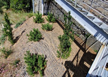 Erozyona karşı geniş bir yamaç sağlamak için çimleri tekstil ile kaplamak. Dik yamaçlar için hindistan cevizi ağını dengeleyen kahverengi jüt kumaş kullanıyor. Şiddetli yağmurda toprak ağ sızdırmaz.