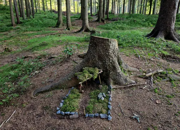 stock image construction of children's houses in the forest. the spruce forest is threatened by water erosion. the road becomes a riverbed and the leaves bear witness to the violent nature of the material