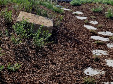 Bahçedeki düz taşlar, ağaç kabuğu parçacıkları ile samanlanmış bir yatak içeren bir patika oluşturur. İki sıra halinde basamaklar ziyaretçileri parka götürüyor.