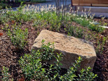 Bahçedeki düz taşlar, ağaç kabuğu parçacıkları ile samanlanmış bir yatak içeren bir patika oluşturur. İki sıra halinde basamaklar ziyaretçileri parka götürüyor.