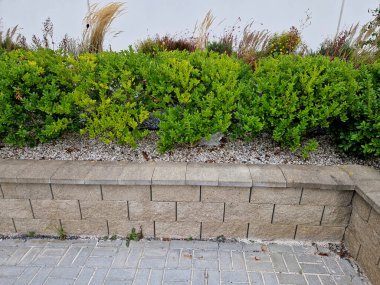 strut, suspended glass roof above the building entrance. bus station, railway station. cable wind braces. aluminum construction with windows above pergola  galvanized steel frame
