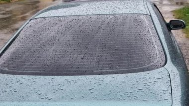 Bir arabanın ıslak kaputuna yeşil metalik boya damlatıyor. Araba yıkamada kullanılan balmumu sayesinde çok güzel yansımalar ve büyük damlalar satın alamazsınız.