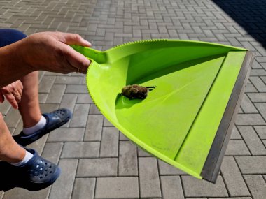 Kanatları kaplayan burun, kulaklar ve zarlardaki mantarların büyümesiyle ortaya çıkar ve bu da yarasanın kış uykusundan erken uyanmasına ve nihai ölümüne yol açar..