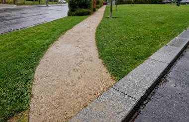 Yeni park harman yolunun çakıl taşlarını sıkıştırıyor. Çimen tohumu, suyla dolu olan metal bir el silindirini yuvarlayarak onarılır, daha ağır olacak, bisiklet yolu