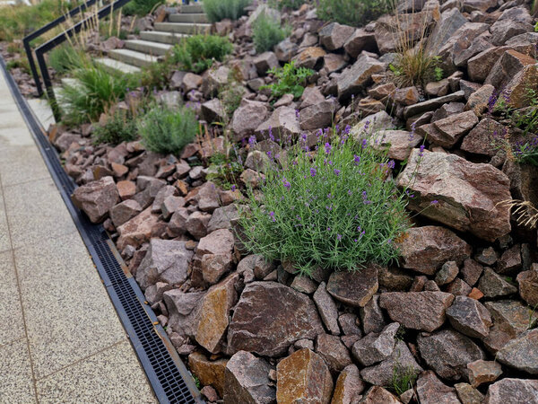 Бетонная лестница в парк, служащая одновременно сидячей скамейкой. серый цемент чистой гладкой яркой поверхности цемента. гранитные кубики, прокладывающие дорогу из гравия. заросшие растениями. широкая