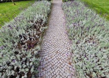 Boxwood çitlerinden yapılmış tarihi bir bahçede kesilmiş çiçek tarhı kareleri. Kalenin avlusu kaldırım taşı patika yolu boyunca donmuş buz sıraları, kar yeşil çimenler sarmaşık, sarmaşık, sarmaşık, sarmaşık, üst