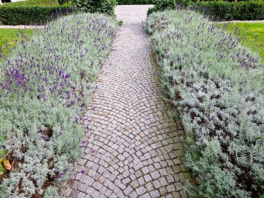 Boxwood çitlerinden yapılmış tarihi bir bahçede kesilmiş çiçek tarhı kareleri. Kalenin avlusu kaldırım taşı patika yolu boyunca donmuş buz sıraları, kar yeşil çimenler sarmaşık, sarmaşık, sarmaşık, sarmaşık, üst