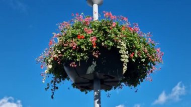 Plastikten yapılmış dekoratif saksıları olan sütunlar. Sepet şeklinde çiçekler asmak, çelenk. Sokak lambalarını ve otoparkları süslüyor.