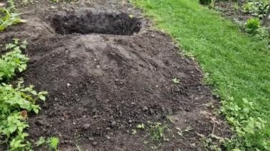 Bir adam, bir insan ya da hayvan cesedi gömmek için hazırlanmış bir mezar olabilecek açık bir çukur buldu. Hazine avcıları değerli eşyaları aldıktan sonra delikleri açık bırakırlar.