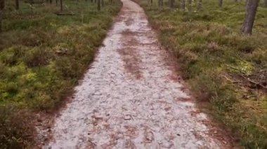 Kayalık bir vadide taş oymalı ve toprak malzemesi olan ormanda bir merdiven. Sıkıcı ormandan geçen kumlu yollar