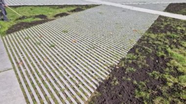 Otomatik sulamanın ardından hasarlı çimlerin onarılması. Toprak yığınları getirip tırmıklarla dağılıyorlar. çimenlik ekme ve oyma.