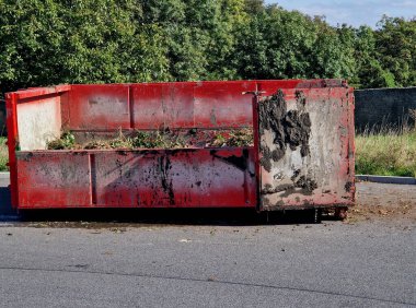 Bahçe ve parkların çimen kesikleri için yeşil teneke bir kap. Bir adam otun kalitesini ve miktarını elle kontrol eder. Geri dönüşüm gübresindeki bir avuç yeşil biyolojik madde