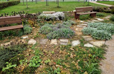 Bir çiçek tarlasında merdivenleri olan kumtaşı duvarlar ve taşlar. Çiçekli kaya bahçeleri ve çakıl yüzeyi olan merdivenler. Bitki bahçesi, kış, yamaç, duvar graniti.