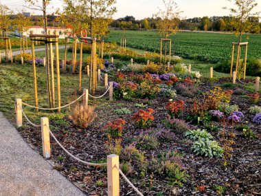 Kelebekler için çiçek çayırı karışımı. Bahçıvan, böceklerin biyolojik çeşitliliğini destekleyen mozaik adaları biçiyor.
