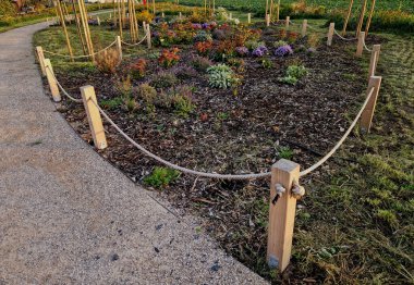 Kelebekler için çiçek çayırı karışımı. Bahçıvan, böceklerin biyolojik çeşitliliğini destekleyen mozaik adaları biçiyor.