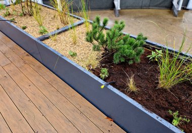 Tahta bir terasta gri plastikten yapılmış kendi kendine sulandırıcı kaplar otlar ve cüce formunda çam ağaçları ekilmiş. Duvarda bir sıra dikdörtgen çiçek saksısı.