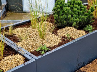 Tahta bir terasta gri plastikten yapılmış kendi kendine sulandırıcı kaplar otlar ve cüce formunda çam ağaçları ekilmiş. Duvarda bir sıra dikdörtgen çiçek saksısı.