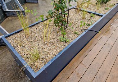 Tahta bir terasta gri plastikten yapılmış kendi kendine sulandırıcı kaplar otlar ve cüce formunda çam ağaçları ekilmiş. Duvarda bir sıra dikdörtgen çiçek saksısı.