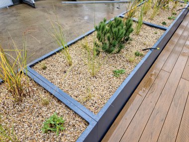 Tahta bir terasta gri plastikten yapılmış kendi kendine sulandırıcı kaplar otlar ve cüce formunda çam ağaçları ekilmiş. Duvarda bir sıra dikdörtgen çiçek saksısı.