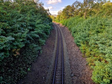 Tren sürücüsü akasya çalılığından geçmek zorunda. İstilacı acaciaların pistin yukarısındaki yamaçta bir habitatları vardır.