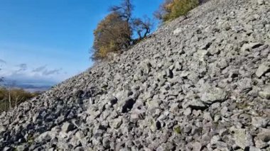 Sahra ormanları yamaçtaki aşındırıcı taşlarla kaplıdır. Buz dağılımının geniş alanlarını oluşturan yürüyüş botları
